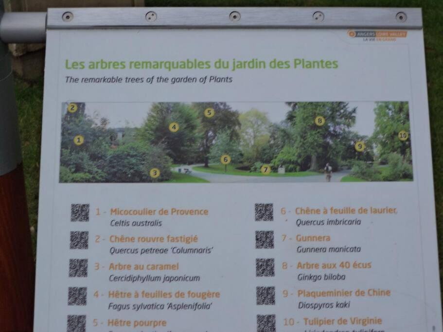 شقة Le Grey-Jardin Des Plantes-Centre Des Congres أنجير المظهر الخارجي الصورة